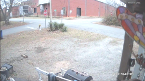 Caméra IP - United States of America