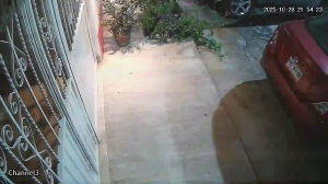 Caméra IP - México