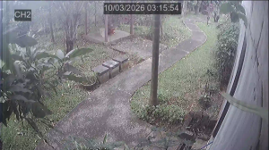 Caméra IP - Indonesia