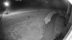 Caméra IP - United States of America