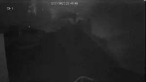 Caméra IP - Nouvelle-Zélande