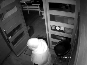 Caméra IP - Netherlands