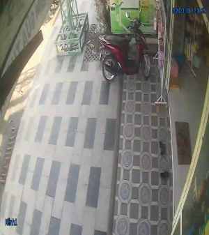 Caméra IP - Vietnam