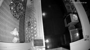 Caméra IP - Estados Unidos