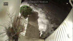 Caméra IP - États-Unis d'Amérique