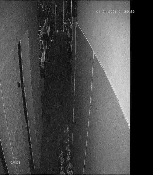 Caméra IP - Indonesia