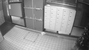 Caméra IP - Netherlands