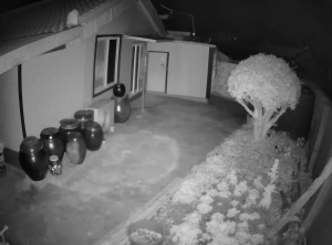 Caméra IP - Corea del Sud