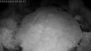 Caméra IP - United Kingdom