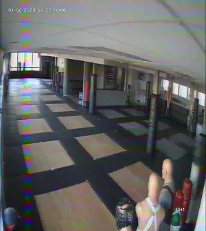 Caméra IP - United States of America