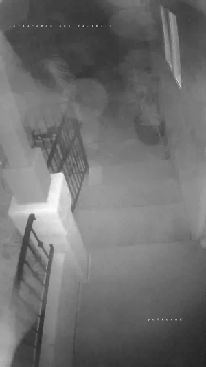 Caméra IP - États-Unis d'Amérique