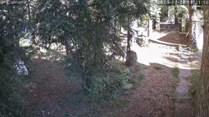 Caméra IP - Espagne