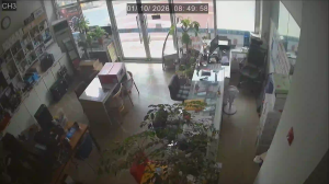 Caméra IP - South Korea