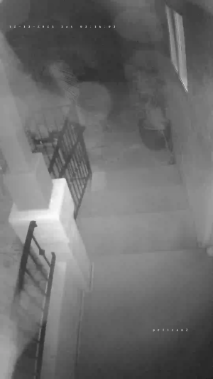 Caméra IP - États-Unis d'Amérique