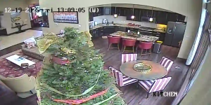 Caméra IP - États-Unis d'Amérique