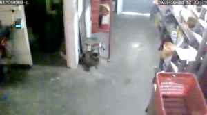 Caméra IP - Singapore