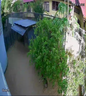 Caméra IP - Suriname