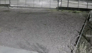 Caméra IP - Italien