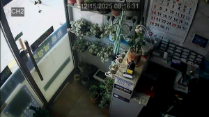 Caméra IP - Südkorea