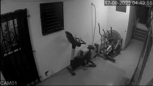 Caméra IP - Cote d'Ivoire