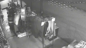 Caméra IP - Tailandia