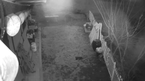 Caméra IP - Südkorea