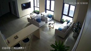 Caméra IP - China