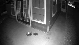 Caméra IP - United States of America