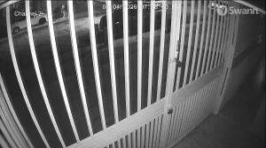 Caméra IP - Porto Rico