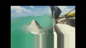 Caméra IP - United States of America