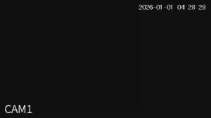 Caméra IP - Saudi-Arabien