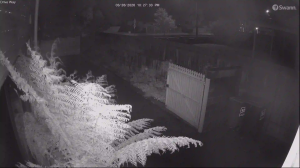 Caméra IP - Australia