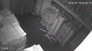 Caméra IP - Russian Federation