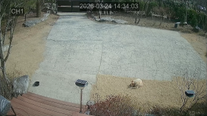 Caméra IP - Südkorea