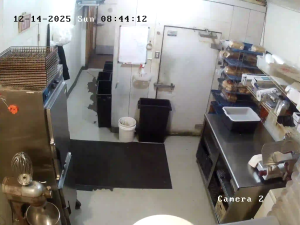 Caméra IP - United States of America