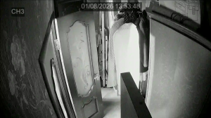 Caméra IP - Russian Federation