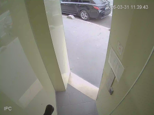 Caméra IP - Francia