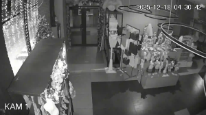 Caméra IP - Kazajistán