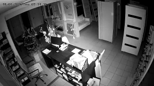 Caméra IP - Russian Federation