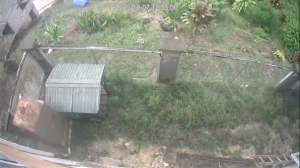 Caméra IP - Barbados