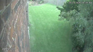 Caméra IP - South Africa