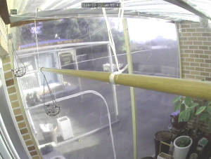 Caméra IP - República de Corea