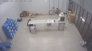 Caméra IP - Brasile