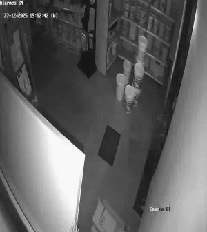 Caméra IP - Portugal