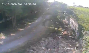 Caméra IP - Thaïlande