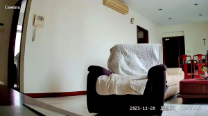 Caméra IP - Singapour