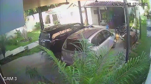 Caméra IP - Bolivien