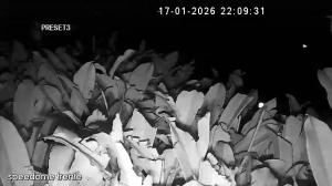 Caméra IP - Portugal