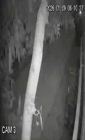 Caméra IP - Vietnam