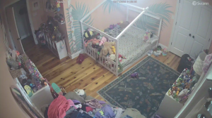 Caméra IP - Vereinigte Staaten von Amerika